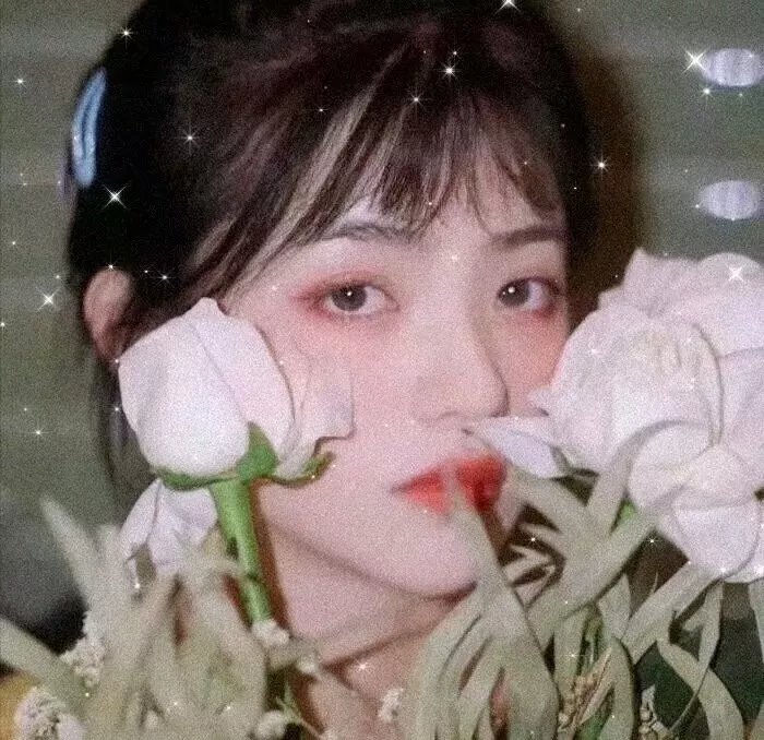爱的追踪